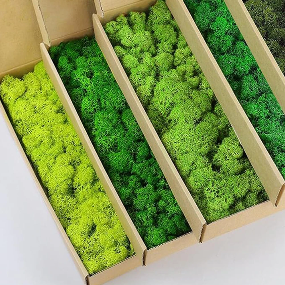 20-200g Artificial Green Plant - Terrarium Moss Art review and price